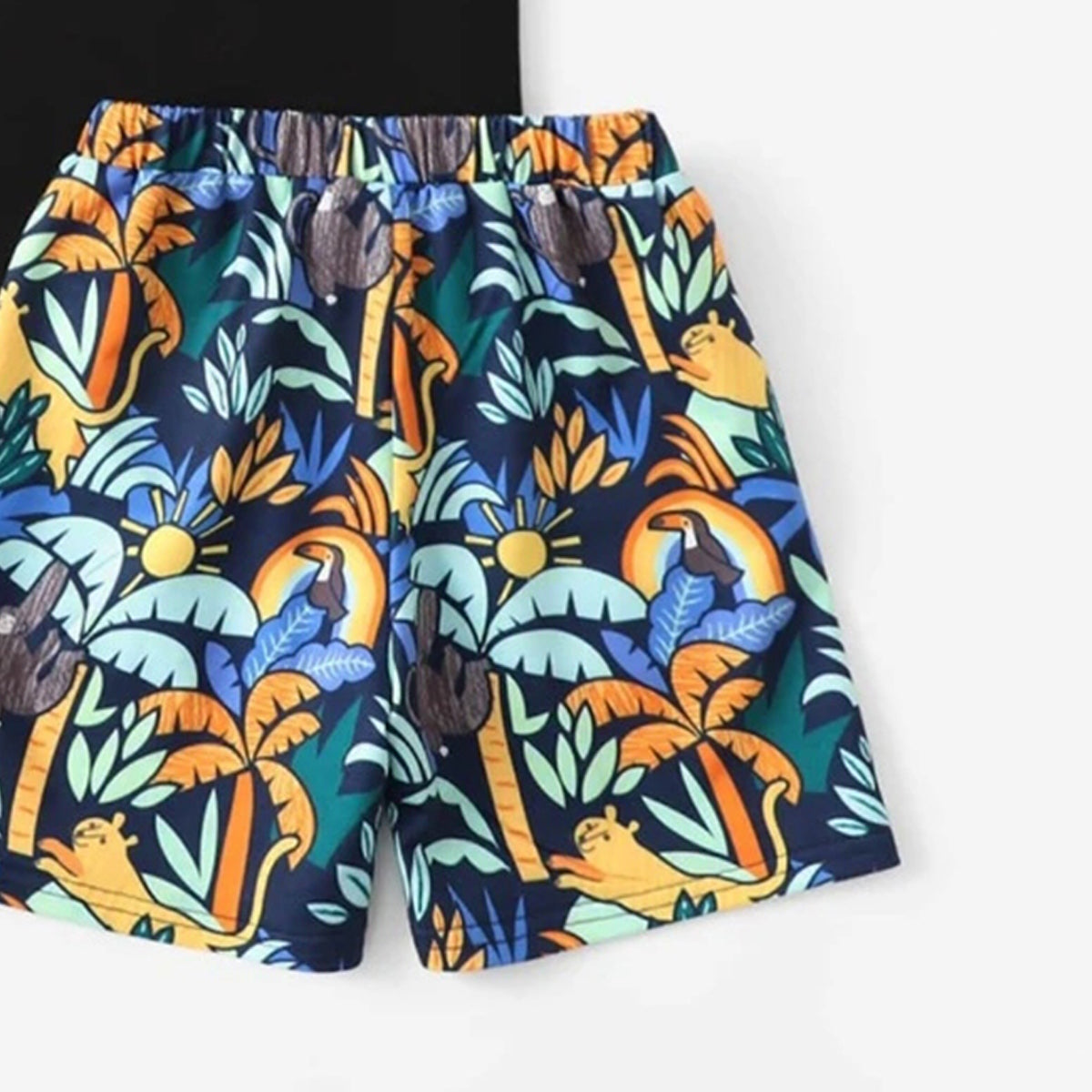 Venutaloza Kids Tropical Casual T-Shirt & Shorts Two Piece Set For Boys.