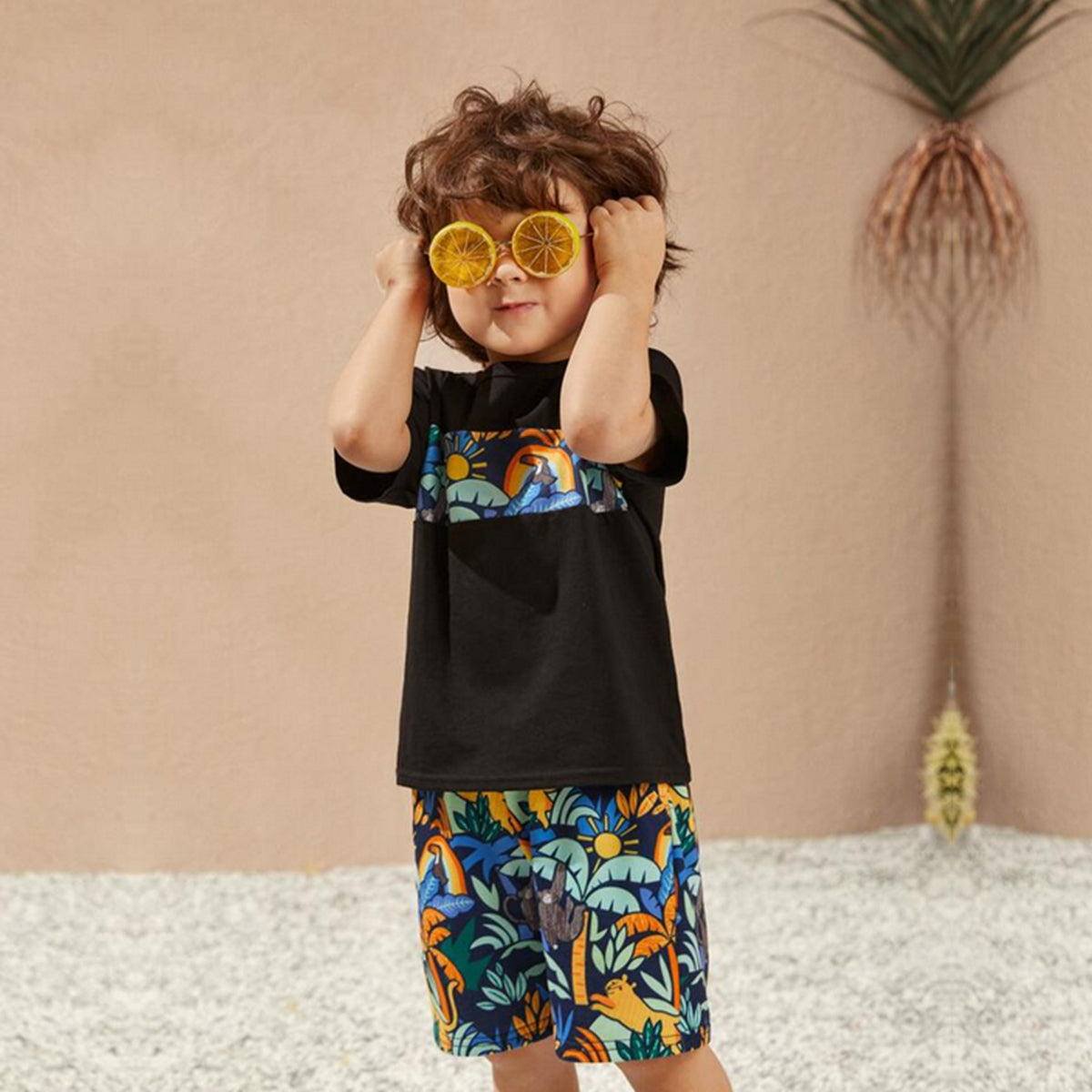 Venutaloza Kids Tropicals Casual T-Shirt & Shorts Two Piece Set For Boys..